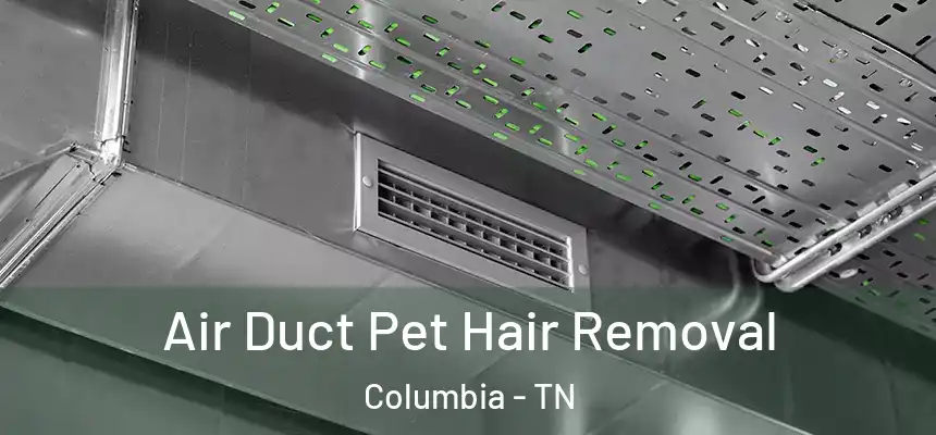 Air Duct Pet Hair Removal Columbia - TN