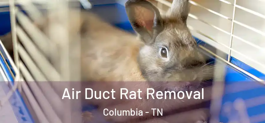  Air Duct Rat Removal Columbia - TN