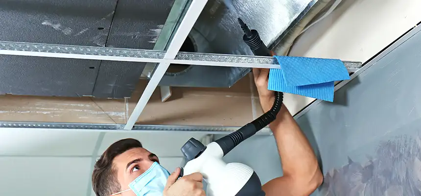 Our Air Duct Rodent Removal Services in Columbia, TN