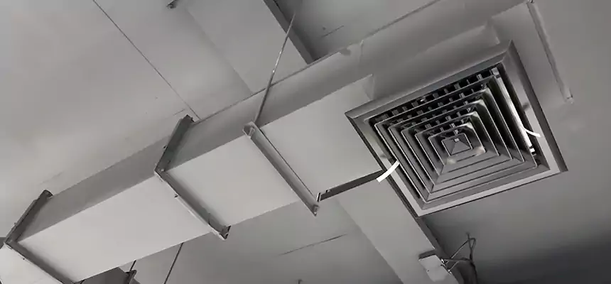 Our Rodent Droppings In Vents Services in Columbia, TN