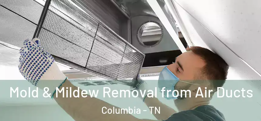  Mold & Mildew Removal from Air Ducts Columbia - TN