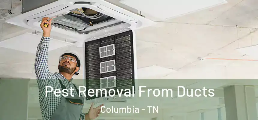  Pest Removal From Ducts Columbia - TN