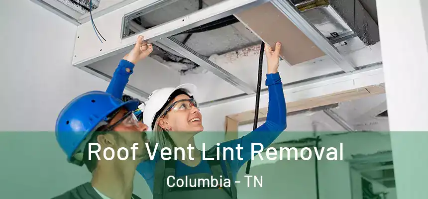  Roof Vent Lint Removal Columbia - TN