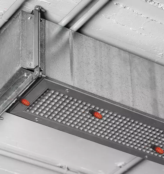 About Air Duct Cockroach Removal in Columbia, TN