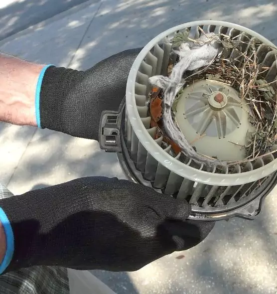 About Air Duct Rat Removal in Columbia, TN