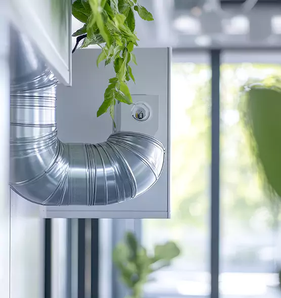 Professional Eco-Safe Dryer Vent Cleaning in Columbia, TN