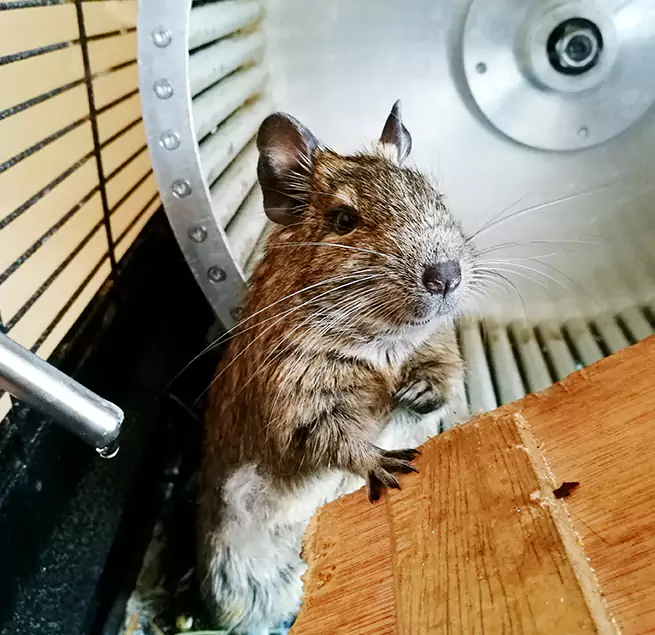 Why Homeowners & Businesses Trust Us Columbia, TN?